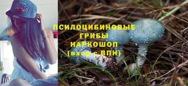 a pvp Гусиноозёрск
