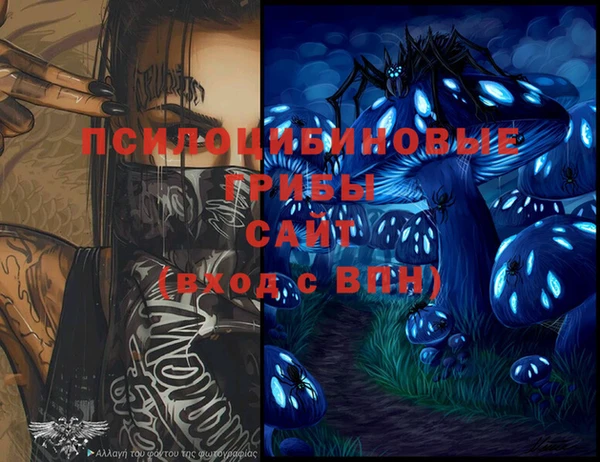 a pvp Гусиноозёрск