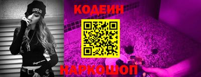 стафф Гатчина