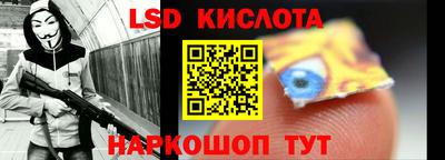 стафф Гатчина