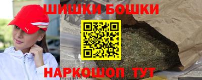 стафф Гатчина