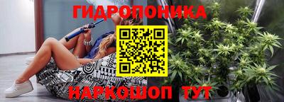 стафф Гатчина