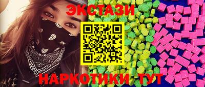 стафф Гатчина