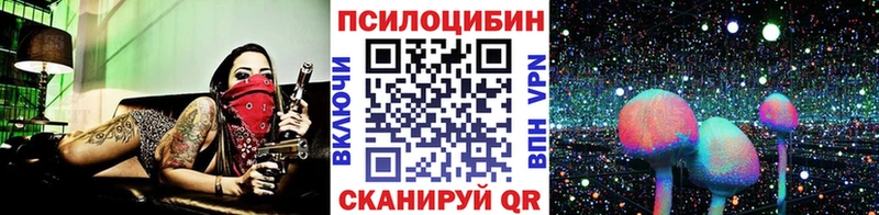 площадка формула Нурлат Псилоцибиновые грибы Magic Shrooms закладка
