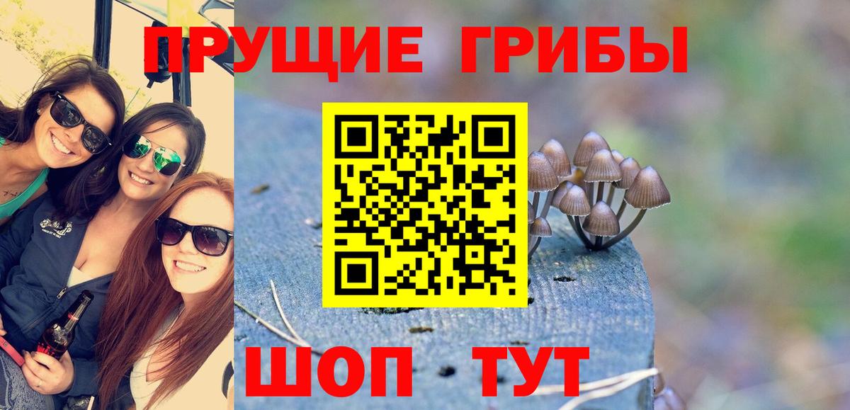 Псилоцибиновые грибы ЛСД  Нурлат  Галлюциногенные грибы Magic Shrooms 