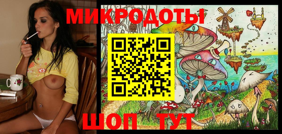 Галлюциногенные грибы Psilocybe Нурлат