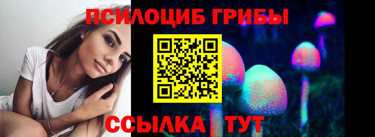 Нурлат  Псилоцибиновые грибы Psilocybine cubensis  Вход с VPN 